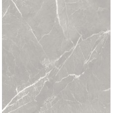 Керамогранит Carolina 60*60 сер.GT606012401MR-3