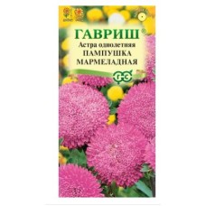 Астра Пампушка мармеладная Гавриш Ц