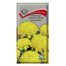 Бархатцы прямостоячие (Тагетес прямостоячий) Цитроненпринц (ЦВ) (