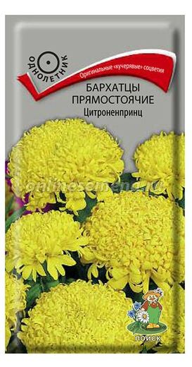 Бархатцы прямостоячие (Тагетес прямостоячий) Цитроненпринц (ЦВ) (