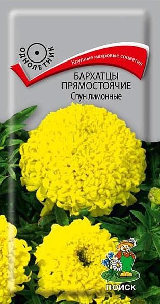 Бархатцы прямостоячие (Тагетес прямостоячий) Спун лимонные ( ЦВ) (