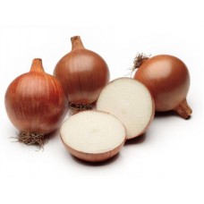 Лук-севок Шетана 10-21