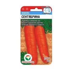 Морковь Сентябрина СибСад Ц