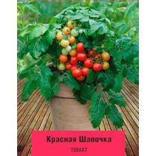 Томат Красная шапочка (А) 668741