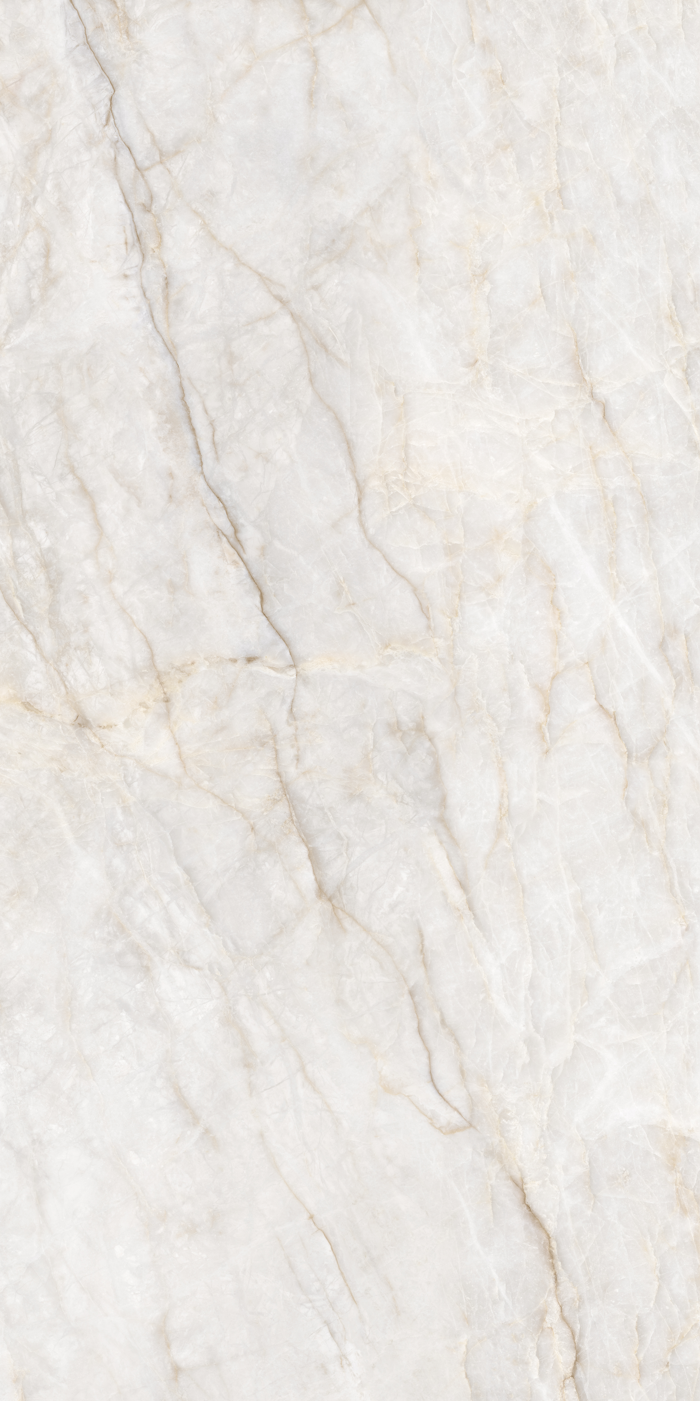 Керамогранит Adani бежевый 60x120 GT1206019202SPR