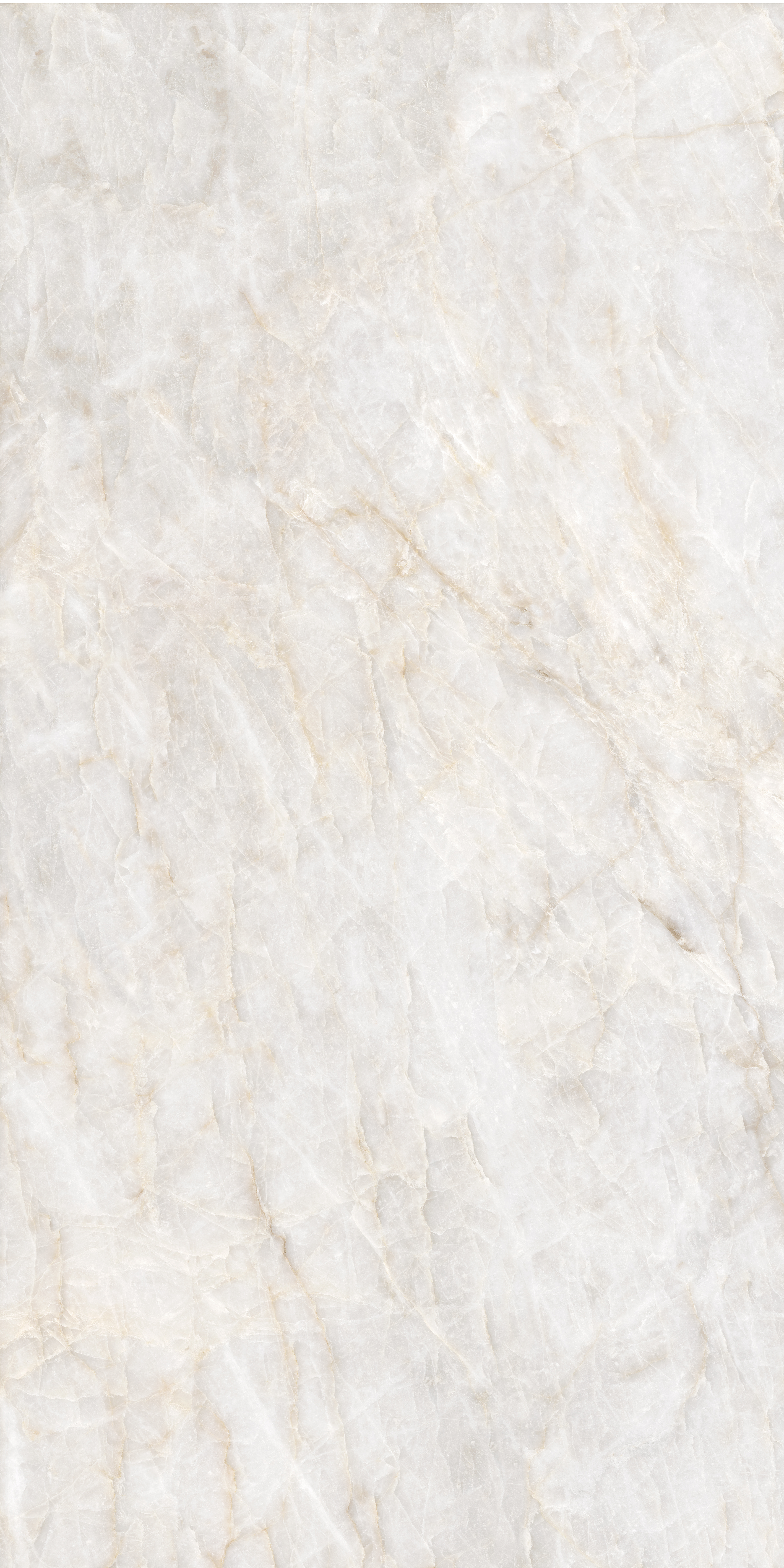 Керамогранит Adani бежевый 60x120 GT1206019202SPR