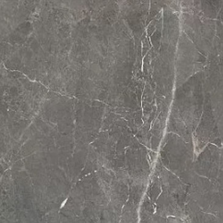 Керамогранит Tulip 60*60 GT606012109SPR т-cер