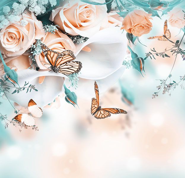 Фотообои 26-0522-FW Бабочки с розами 2,6 x 2,5м