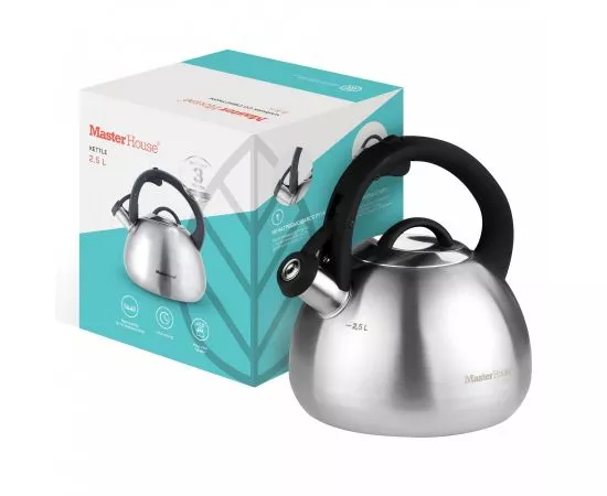 Чайник со свистком Tommaso 2,5 стальной/графит