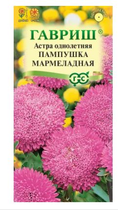 Астра Пампушка мармеладная Гавриш Ц