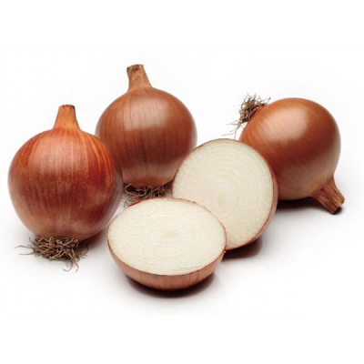 Лук-севок Шетана 10-21