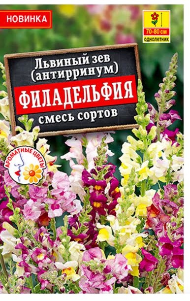Львиный зев Филадельфия смесь Аэлита Ц