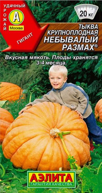 Тыква Небывалый размах крупная