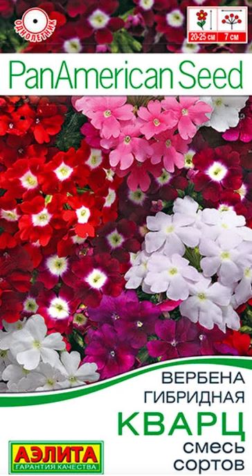 Вербена Кварц смесь окрасок Аэлита Ц