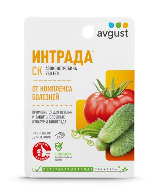 Интрада 10мл N80
