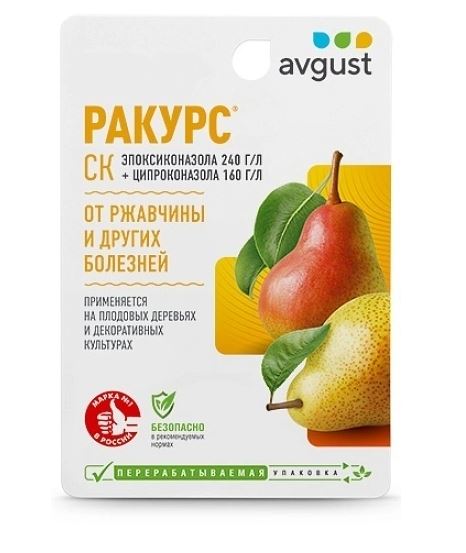 Ракурс 10мл N80