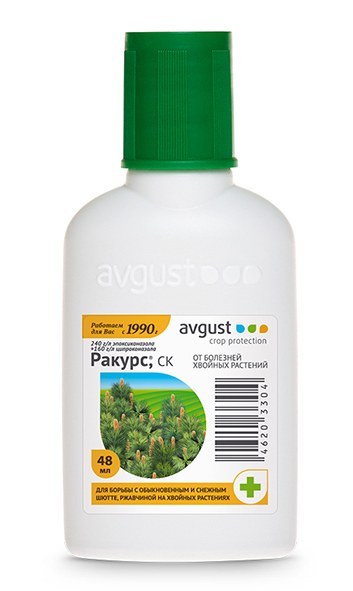 Ракурс 48мл N30