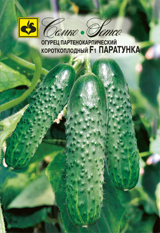 Огурец Паратунка Семко